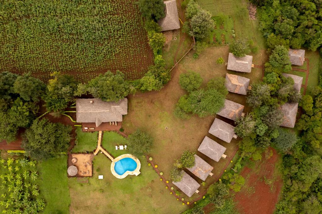 Karatu Tented Lodge al anochecer, con la piscina y el comedor
